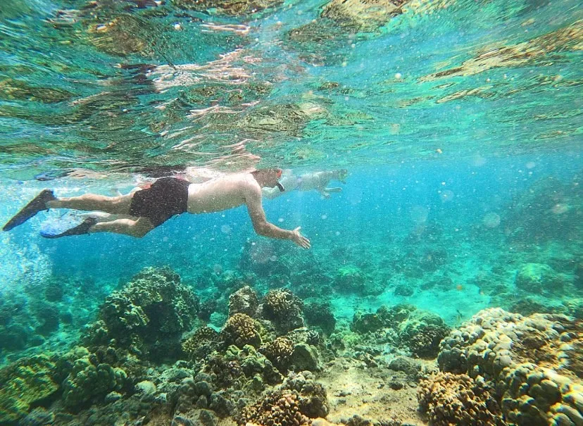 Snorkeler swimming over a reef off Hilo