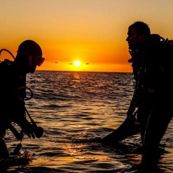 Beach Night Dive