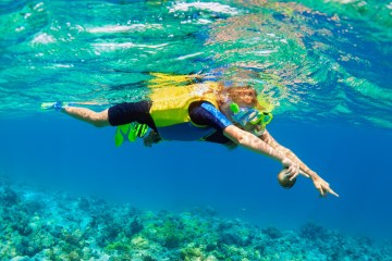 ocean lessons underwater