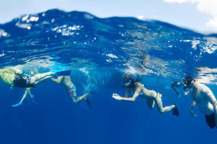 Snorkel Gear Rental