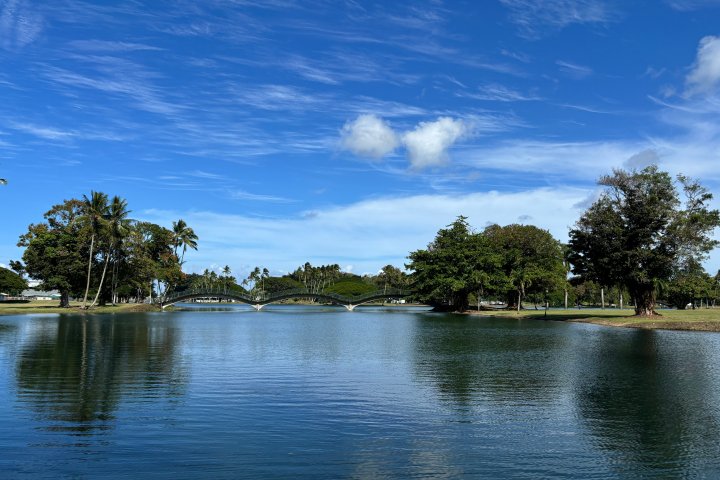 Bridge over a tranquil lake with trees and blue sky in the background.