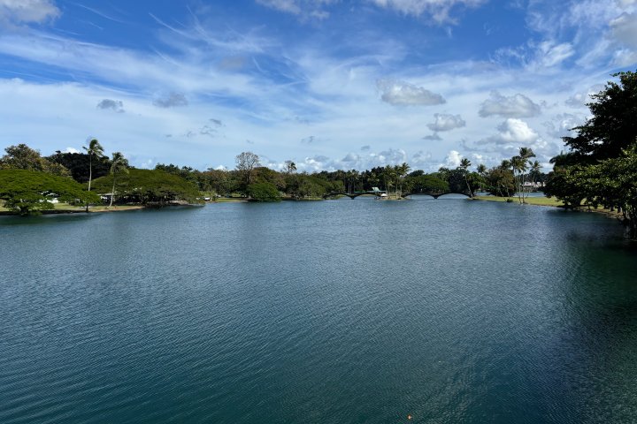 Peaceful lake with palm trees and a cloudy sky in the background.