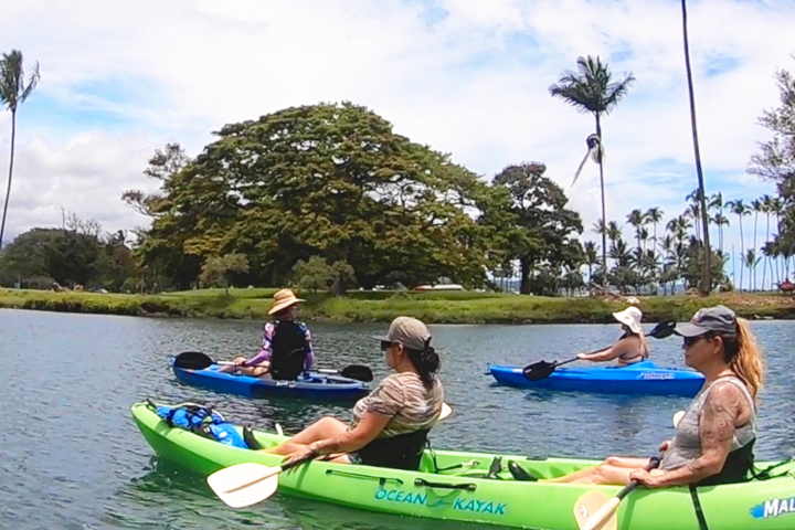 a group of people riding on the back of a boat