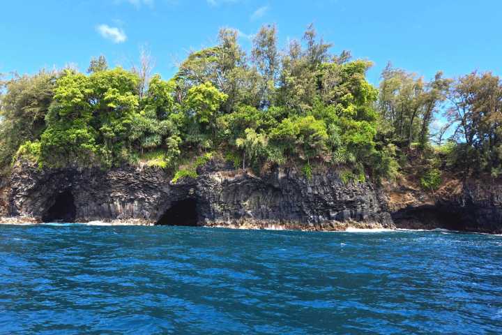 a tree in front of a body of water