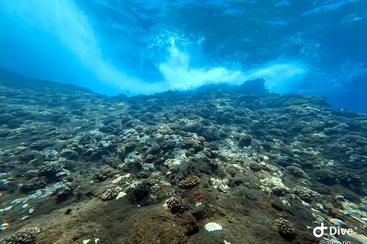 underwater view of a large rock
