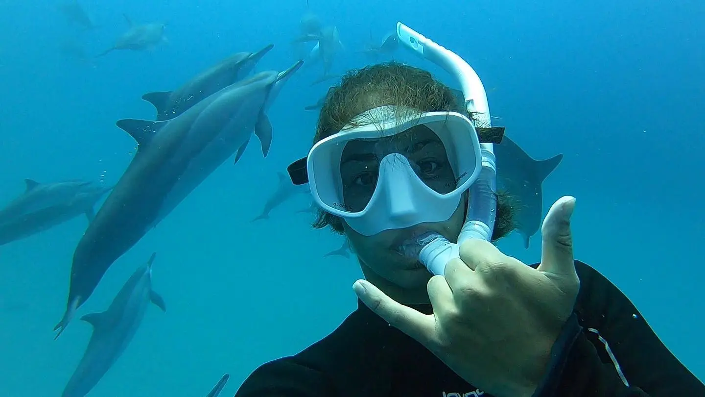 Snorkeler at the surface off Hilo with dolphins in the background