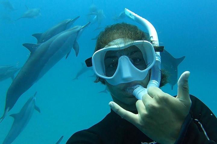 a bird swimming in water