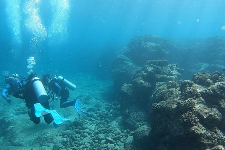 Scuba divers underwater near a rocky reef with clear blue water.
