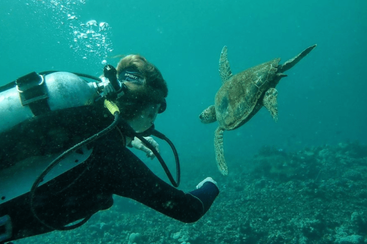 Scuba diver swimming underwater near a sea turtle.