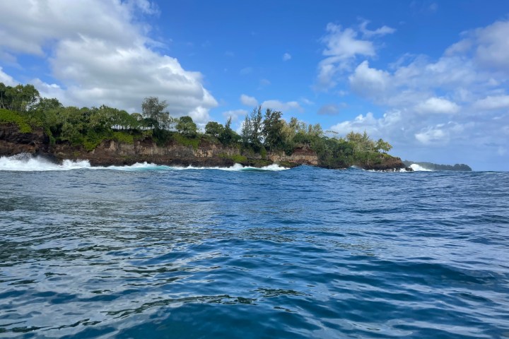 Coastal view with rocky cliffs, lush green trees, and waves under a blue sky with clouds.