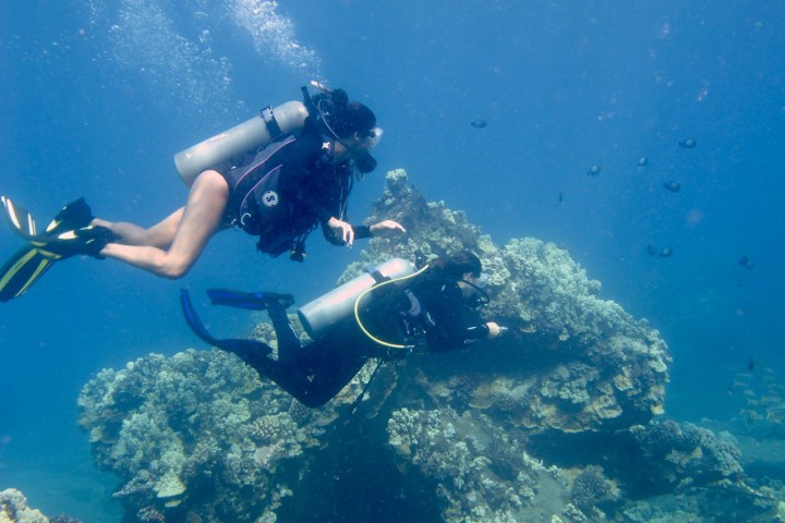 Two scuba divers exploring coral reef underwater.