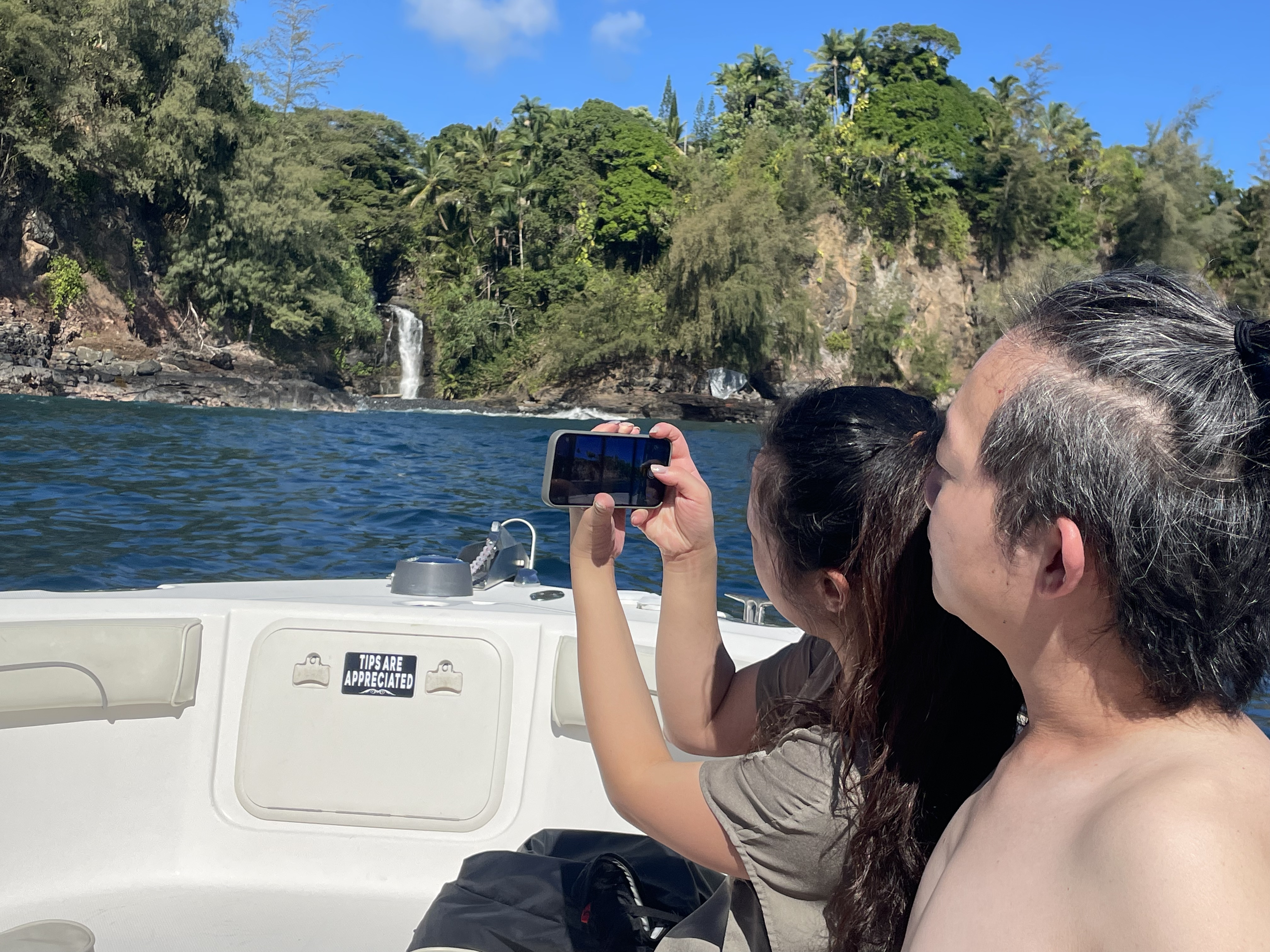 Waterfall cascading down green cliffs into the ocean