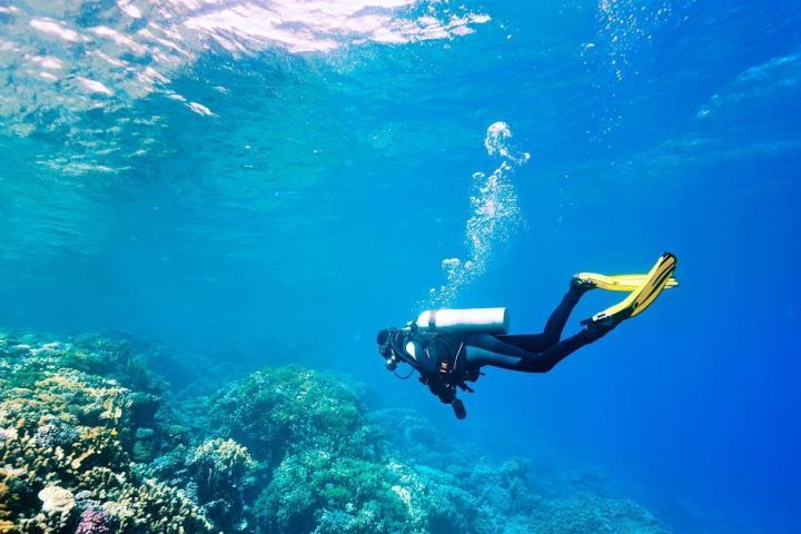 Scuba diver with yellow fins swimming over a coral reef in clear blue water.