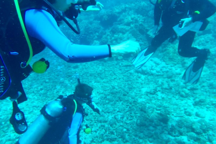 a person swimming in the water