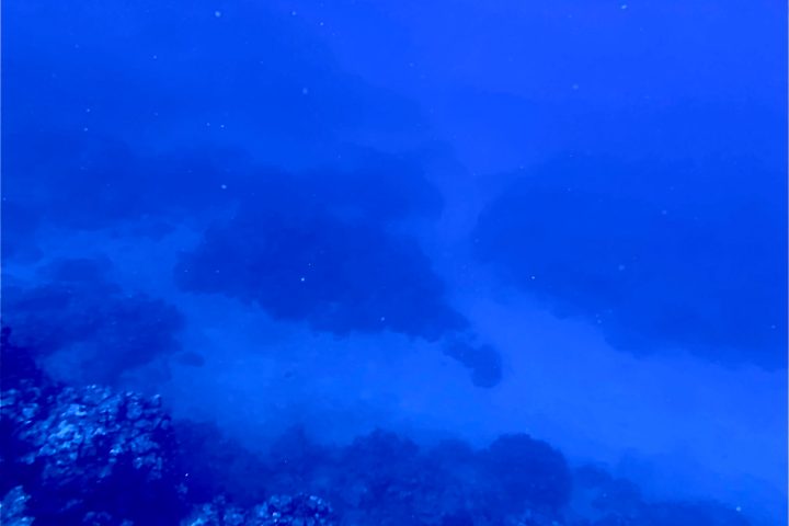 underwater view of clouds and blue sky in the background