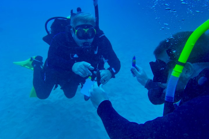 a group of people swimming in the water