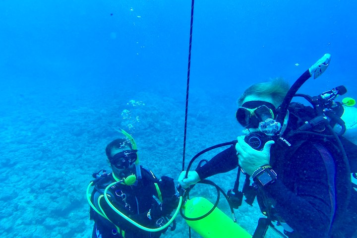 a group of people swimming in the water
