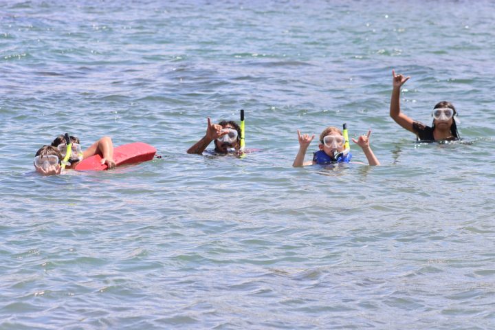 a dog swimming in a body of water