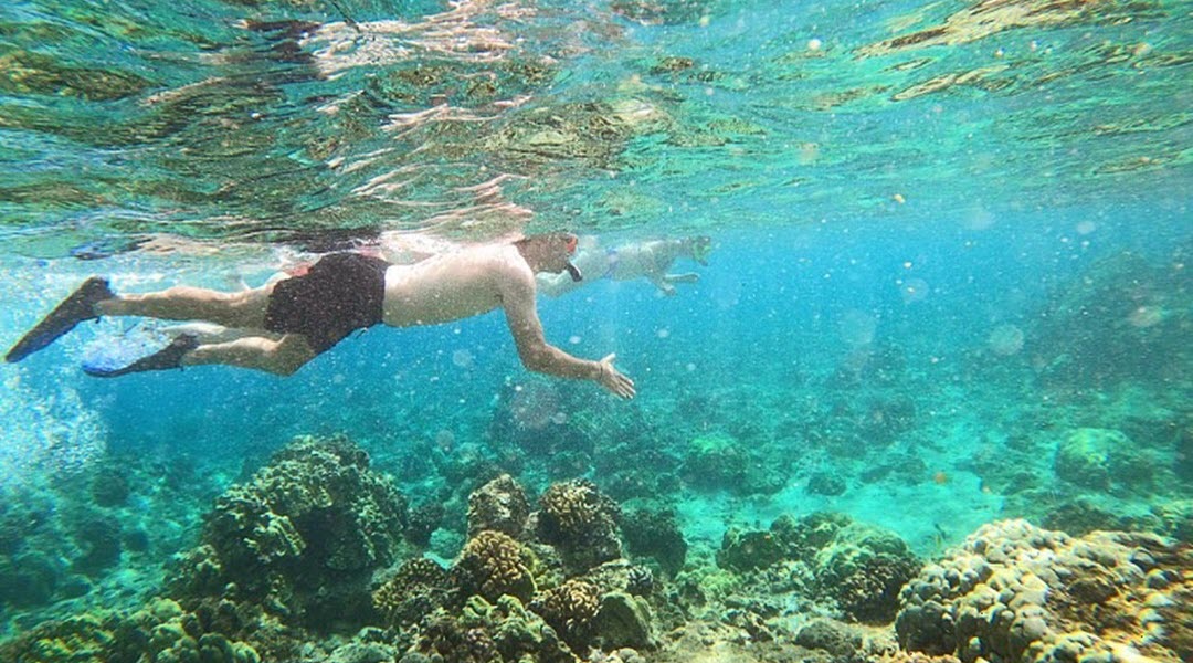Beach Snorkel Tours & Adventures