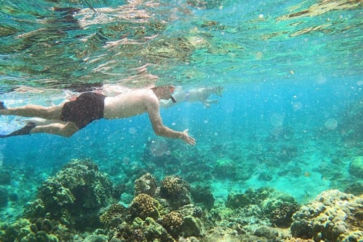 Beach Snorkel Tours & Adventures