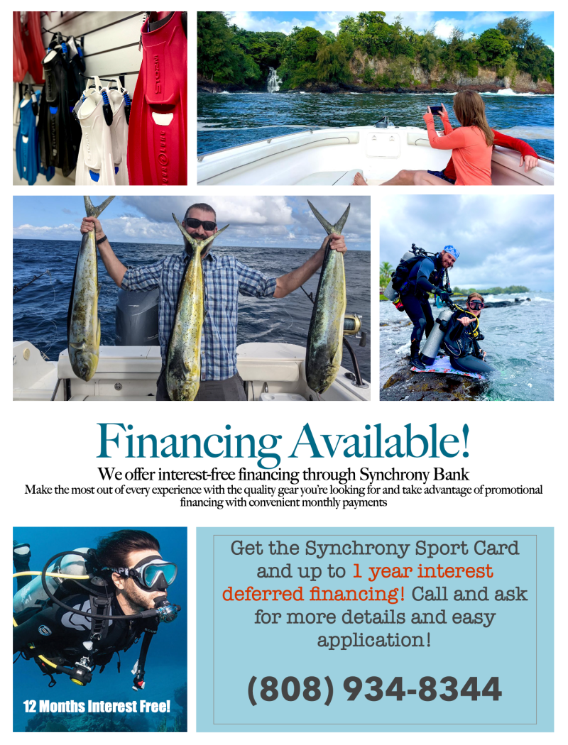 Financing Informaiton