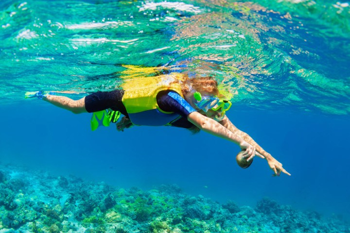 Ocean Lessons In Hilo