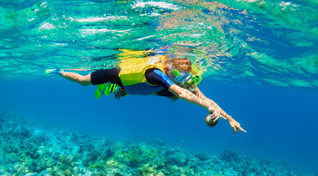 Ocean Lessons In Hilo Ocean Lessons In Hilo