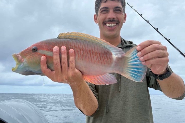 Smiling person holding a colorful fish on a boat with cloudy sky.