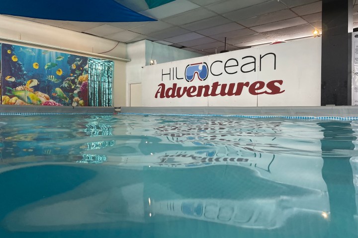 Indoor swimming pool with mural of fish and 'Ocean Adventures' sign on wall.