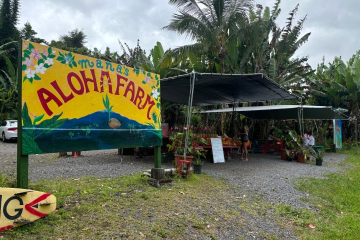 Colorful sign for Mana's Aloha Farm beside covered seating area with plants and people.