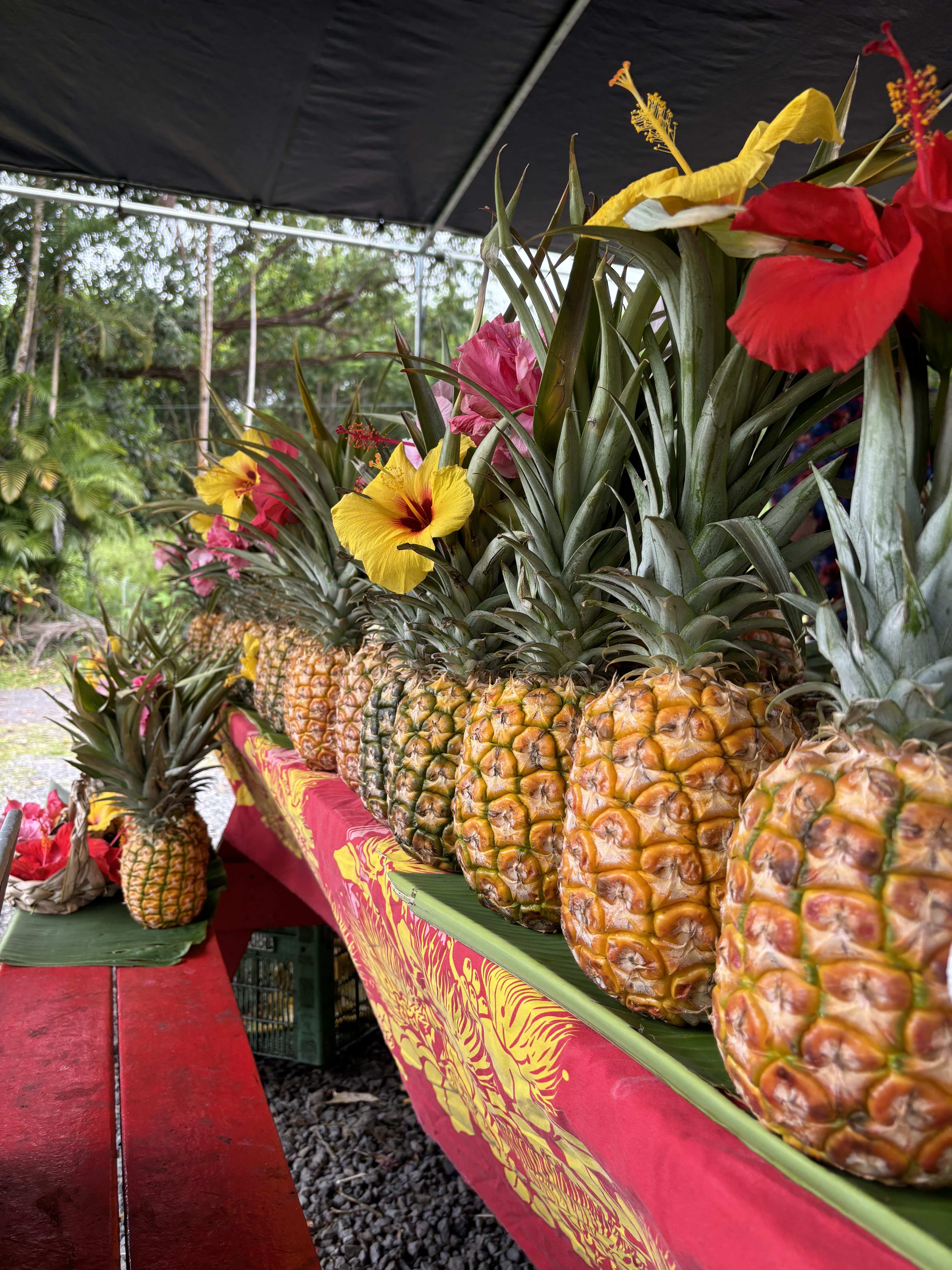 Fresh tropical fruit at Mana's Aloha Farms fruit stand