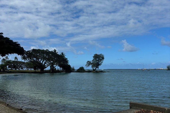 Calm coastal scene with trees, gravel beach, and cloudy blue sky.