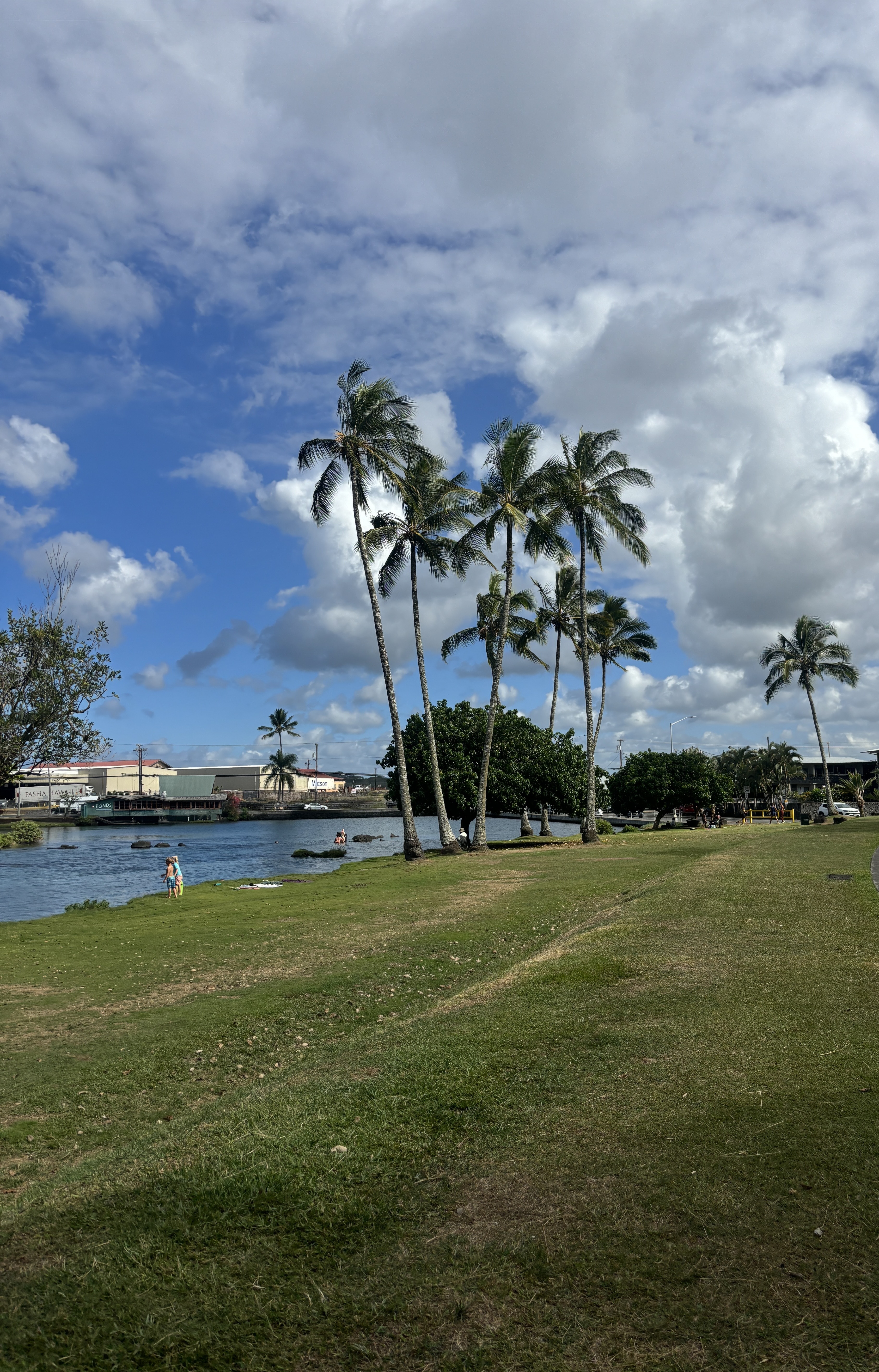 Calm water in Reeds Bay near Banyan Drive in Hilo