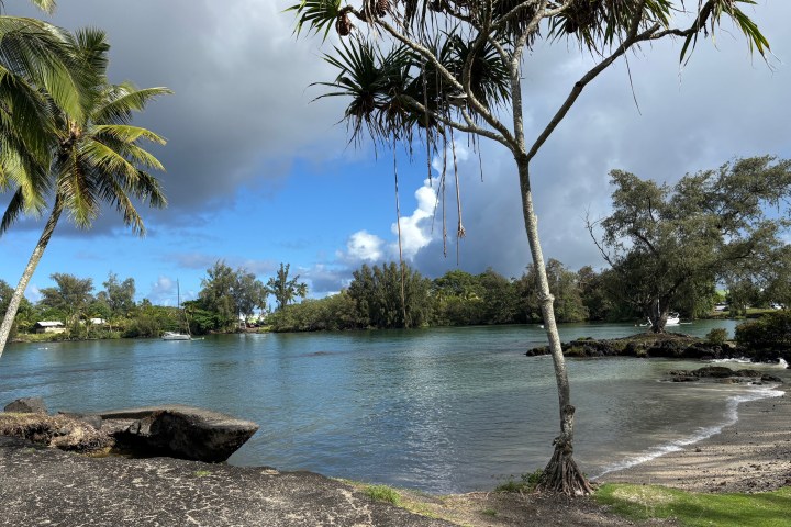Tropical shoreline with trees and cloudy sky by the water's edge.