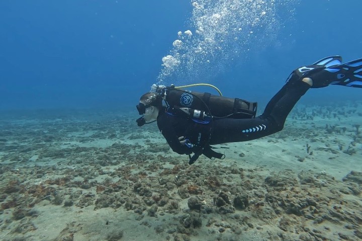 Scuba diver swimming over sandy ocean floor with coral and bubbles.