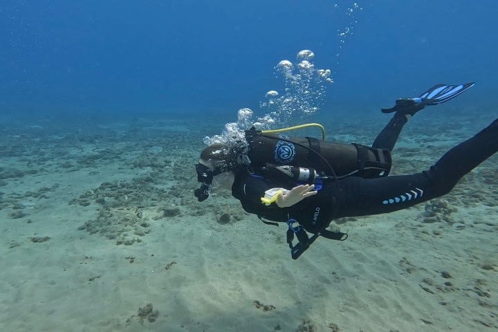 Scuba diver underwater near seabed with bubbles rising.