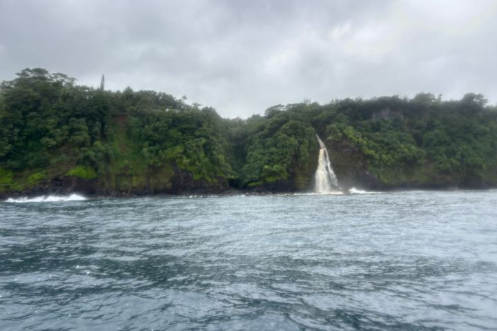 Waterfall cascading down lush green cliffs into the ocean, under cloudy skies.